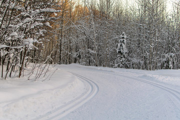 Beautiful winter landscape. Ski trail goes around the bend in the rays of the setting sun.