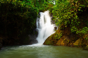 Obraz premium Waterfall in the forest. Long exposure shot.