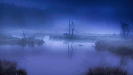 Fototapeta na wymiar silhouette of dead trees in misty fen and reflecting in the water in dark blue spooky atmosphere in Hatertse Vennen, Nijmegen, Netherlands
