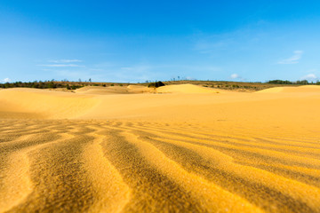 Fototapeta na wymiar Wave on sand dune with clear blue sky at Mui Ne, Vietnam.