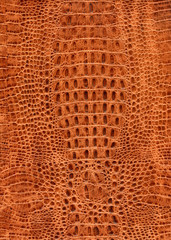 texture of brown crocodile leather, pattern surface