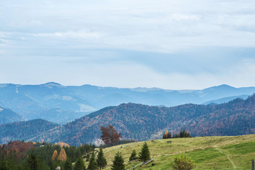 beautiful view of an autumn mountain landscape with a cloudy sky