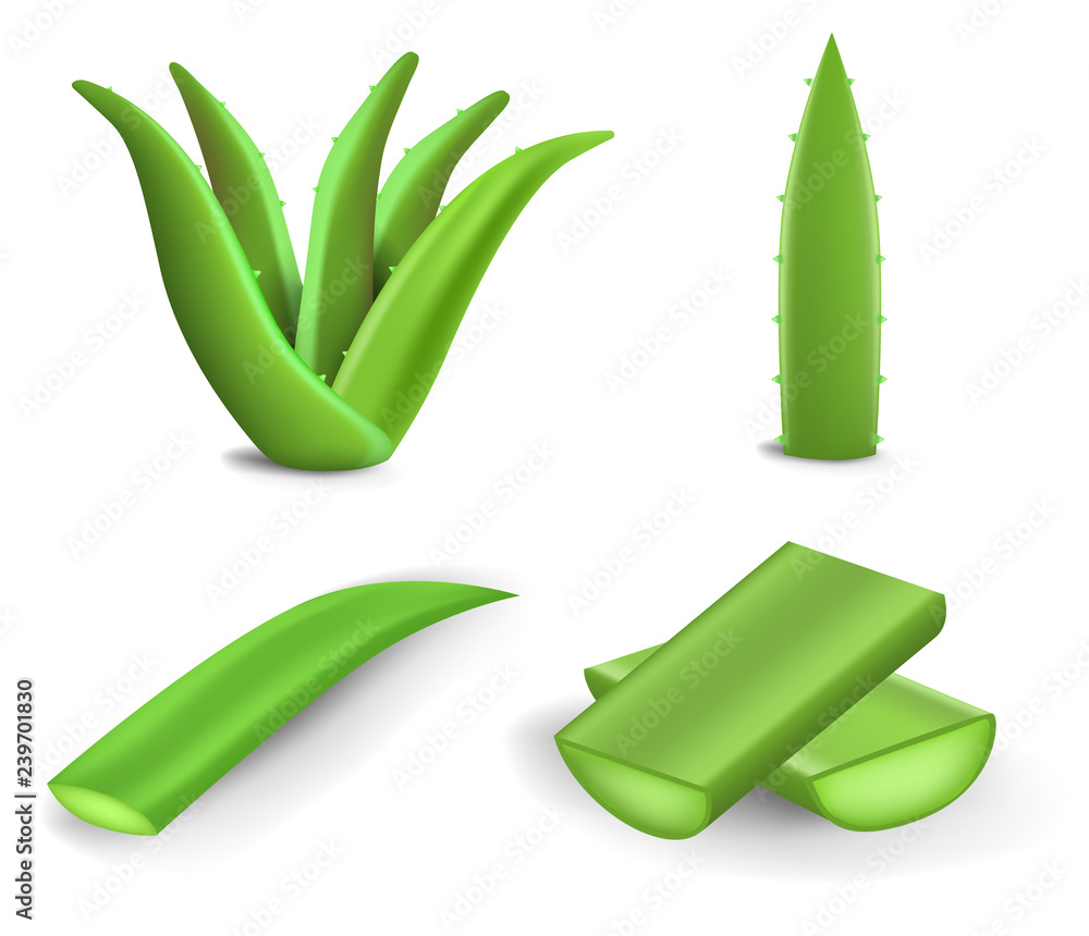 Poster aloe icon set. realistic set of aloe vector icons for web design isolated on white background