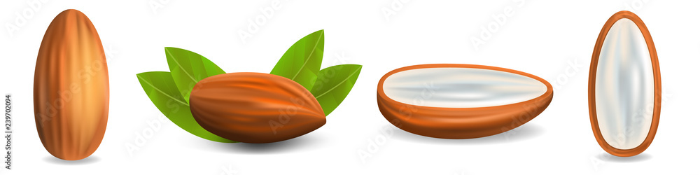 Poster almond icon set. realistic set of almond vector icons for web design isolated on white background