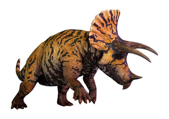 3D Rendering Dinosaur Triceratops  on White