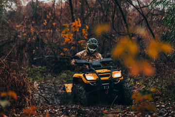 Driving trough the forest