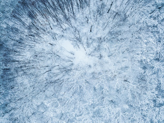 Aerial view of evergreen   Christmass  forest from above. drone shot. natural winter background