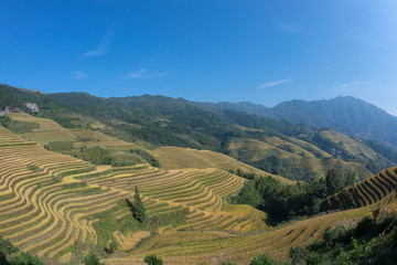  Longsheng ( Longji )  Rice Terraces Fields, Guangxi, China 