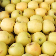 Bright yellow apples