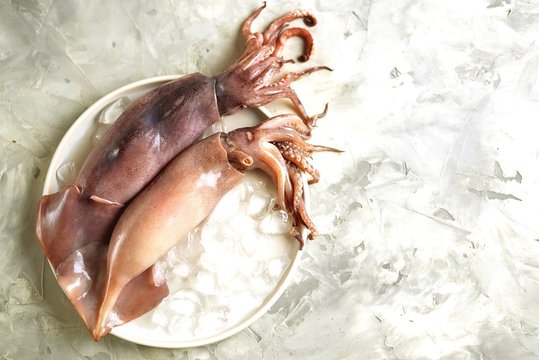 Fresh raw whole squids in a white dish with ice on an grey background. Top view. Copy space.