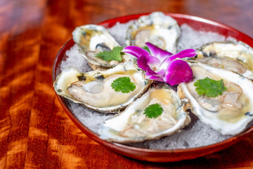 Fresh Oysters Up-Close on Red Plate Gourmet Appetizer