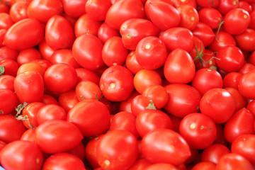 Tomatoes in the market