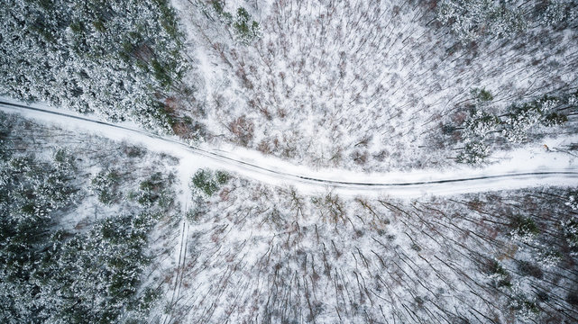 Winter season aerial top down view of a road in forest