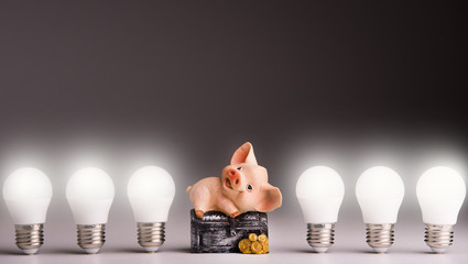 Led lamps and piggy bank lie on a gray background