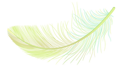 Feather, fluff, fuzz, realistic 3d. Colored, yellow, green. Pooh, lightness, airiness.
