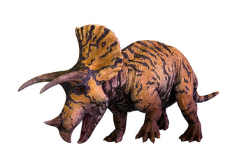 3D Rendering Dinosaur Triceratops  on White