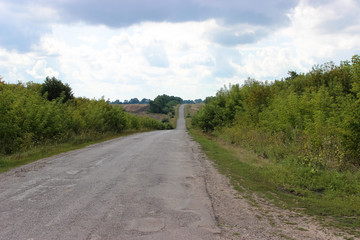 Fototapeta na wymiar Field asphalt road on the roadside are bushes