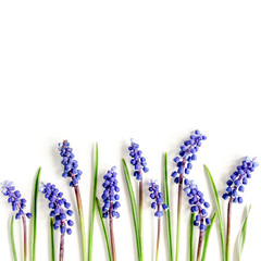 Blue flowers muscari. Minimal floral concept greeting card. Flat lay, top view.