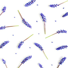 Texture of blue flowers muscari. Minimal floral concept greeting card. Flat lay, top view. 
