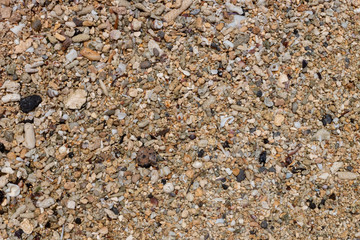 texture of sand 003