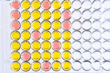 Enzyme-linked immunosorbent assay or ELISA plate
