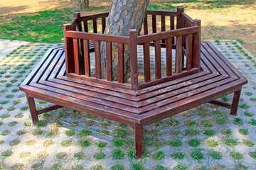 Wooden chair in a park