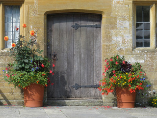 Fototapeta na wymiar old door with flowers