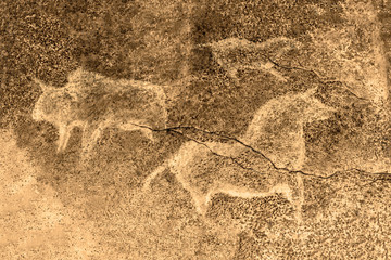 image of ancient animals on the cave wall. history of antiquities, archeology.