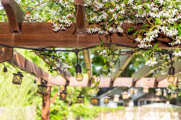 Closeup of patio outdoor spring white flower garden in backyard porch of home, lamps light bulbs, zen with pergola canopy wooden roof gazebo, plants - obrazy, fototapety, plakaty