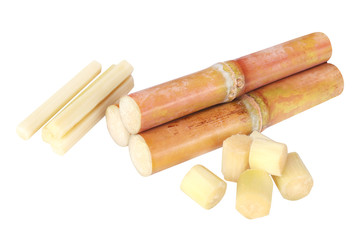 sugar cane, sugar cane isolated on white background and copy space, cane, sugarcane cut piece fresh, sugar cane for plantation, sugarcane fresh