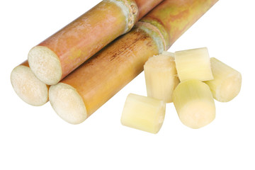 Sugar cane, Cane, Sugarcane cut piece fresh, Sugar cane on white background, Sugarcane fresh