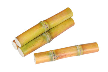 Sugar cane heap, Pile of Cane, Sugarcane piece fresh, Sugar cane on white background, Sugarcane fresh