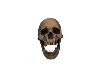 Human skull on Rich Colors a White Background. The concept of death, horror. A symbol of spooky Halloween. 3d rendering illustration.