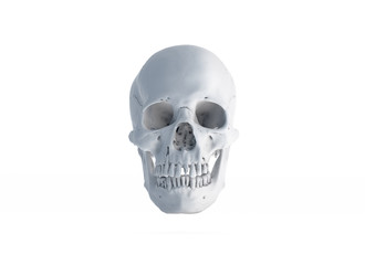 Human skull on White Colors a White Isolated Background. The concept of death, horror. A symbol of spooky Halloween. 3d rendering illustration.