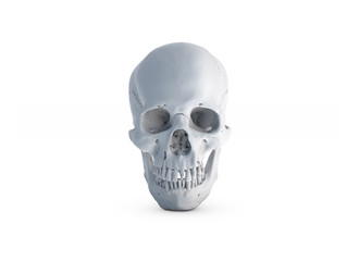 Human skull on White Colors a White Isolated Background. The concept of death, horror. A symbol of spooky Halloween. 3d rendering illustration.