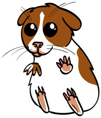 Guinea Pig