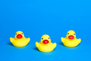 three yellow bath ducks