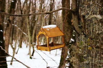 Birdhouse in the forest