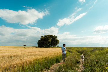 Fantastic spring landscape with one person and one dog