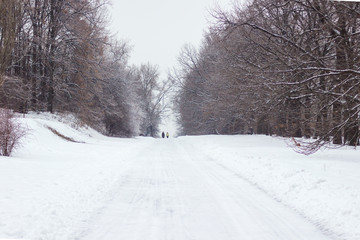 Naklejka premium Winter forest, two people go along the snowy road