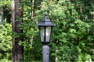 Fototapeta na wymiar old style street lamp in the park