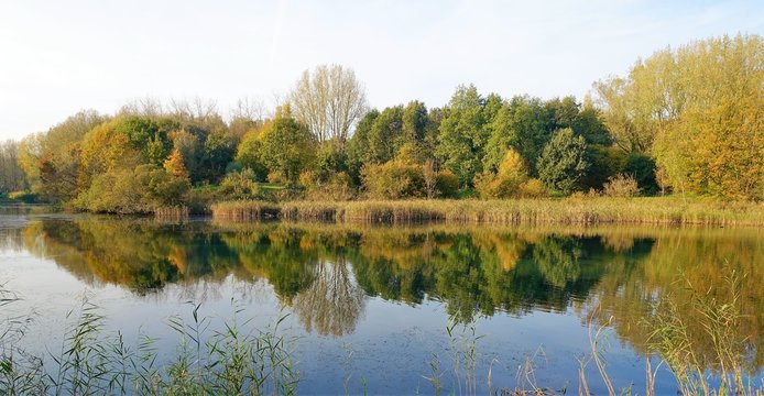 lake in the forest Harderbroek