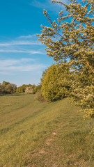 Obraz premium Smartphone HD wallpaper of beautiful view near Straubing - Danube - Bavaria - Germany