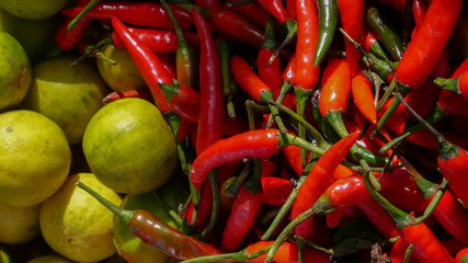 red hot chili peppers