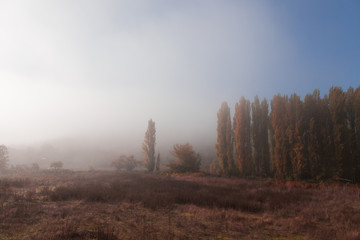 Obraz na płótnie Canvas Autumn landscape with fog in the forest