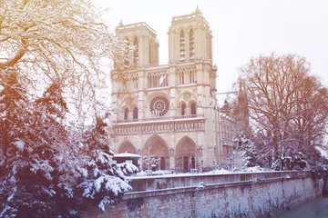 Fotobehang Notre-Dame Cathedral after snowfall in Paris, France © Sergey Novikov