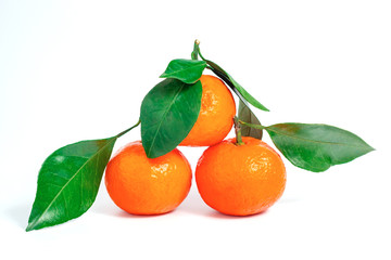 Tangerines or clementine with green leaf isolated on white background