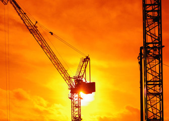 crane silhouette sunrise 