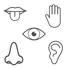 Human senses icon. Vector illustration, flat design.