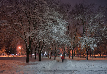 Winter in the city. Night scene. Kyiv. Ukraine.